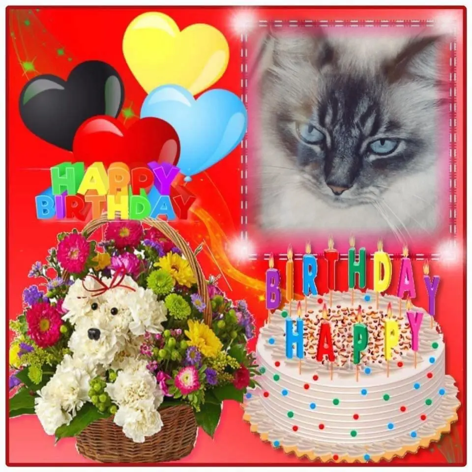 Condolence image of 22.Geburtstag❤️❤️❤️❤️❤️❤️❤️❤️❤️❤️❤️❤️❤️❤️❤️❤️❤️❤️❤️❤️❤️❤️