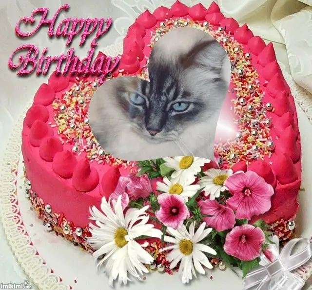 Condolence image of 22.Geburtstag❤️❤️❤️❤️❤️❤️❤️❤️❤️❤️❤️❤️❤️❤️❤️❤️❤️❤️❤️❤️❤️❤️