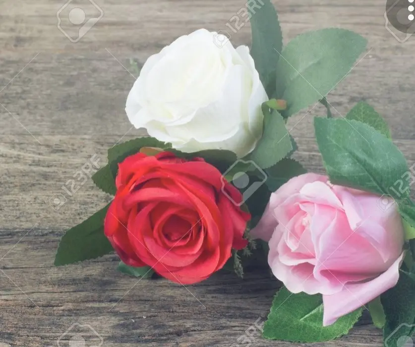 Condolence image of An Emmchen