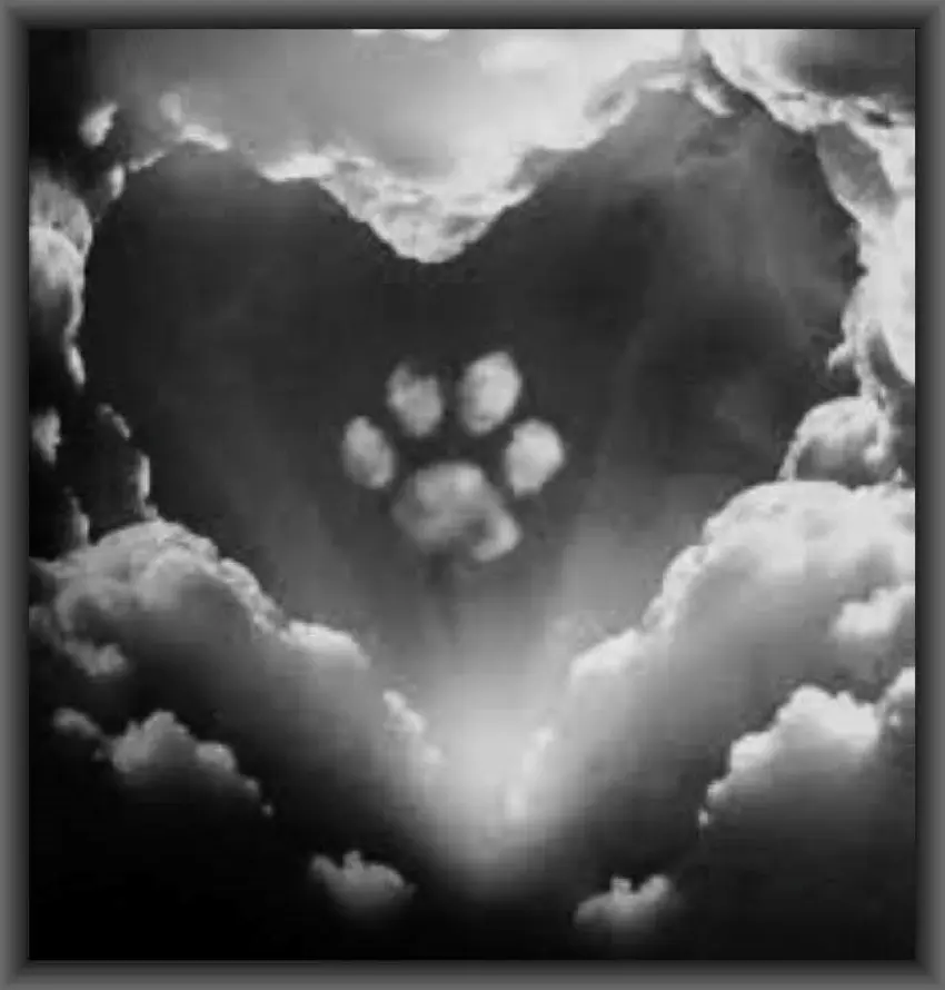 Condolence image of Anna mit Merlin im ❤️