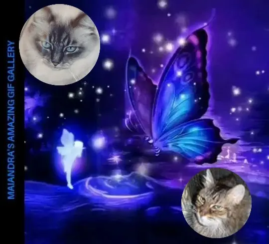 Condolence image of Gute❤️❤️❤️Nacht❤️❤️❤️❤️❤️