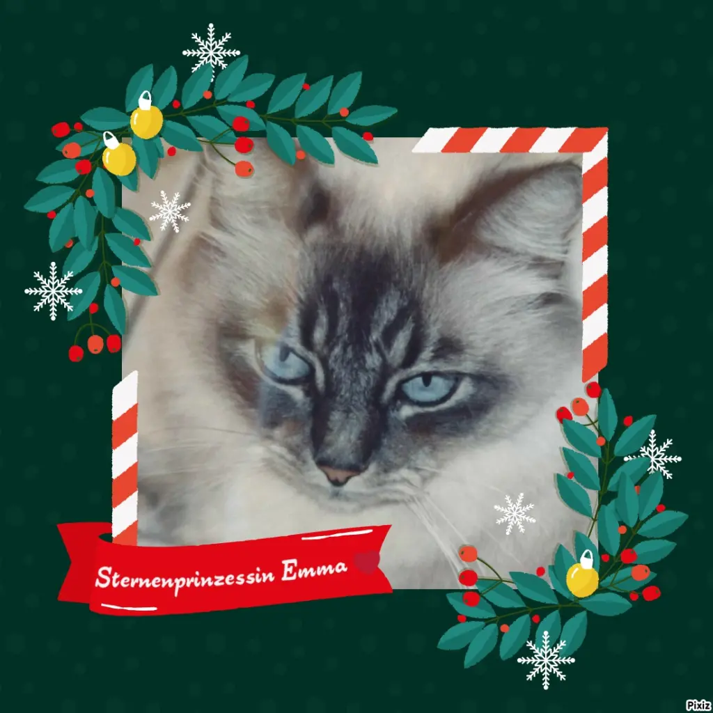 Condolence image of Tanja mit Timmy im Herzen