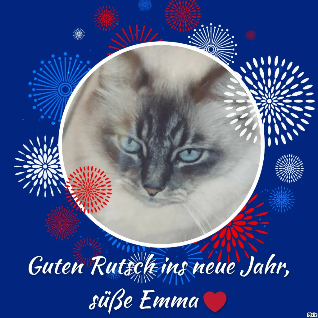 Condolence image of Tanja mit Timmy im Herzen