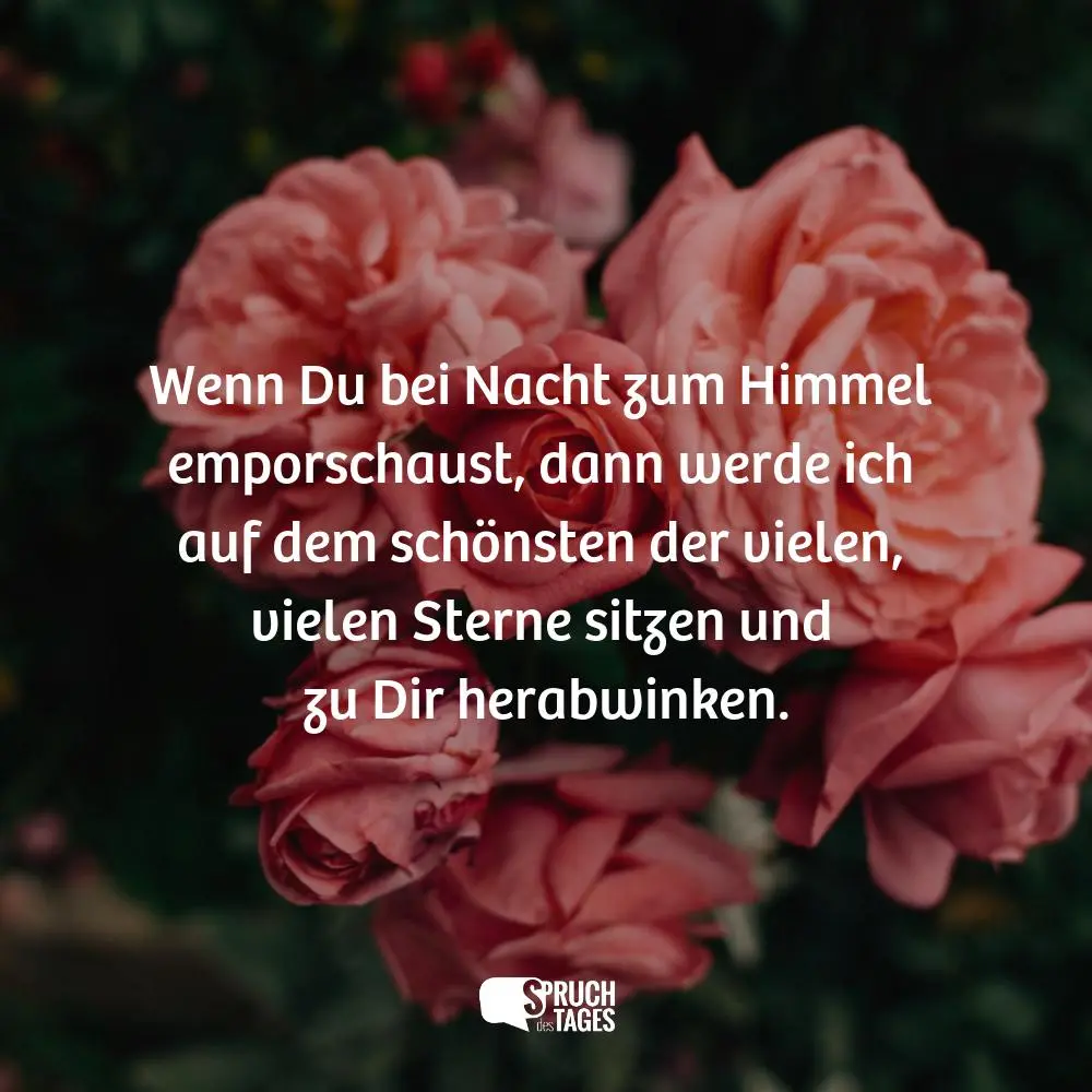 Condolence image of Elisabeth mit Marple und Arafat im ♥
