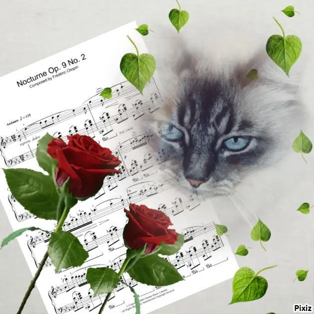 Condolence image of Sonntags❤️Rosen❤️❤️❤️❤️❤️❤️