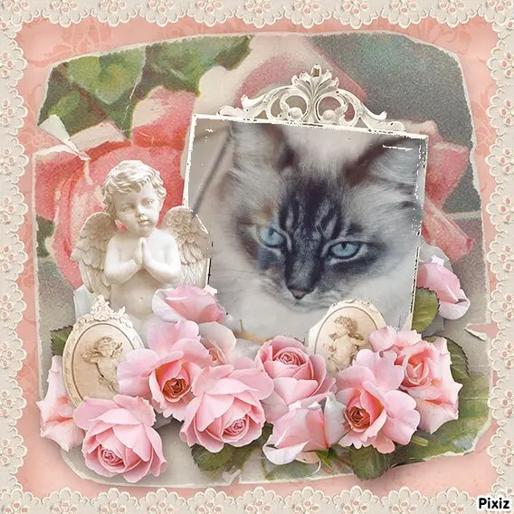 Condolence image of Patricia mit Bunny ❤️