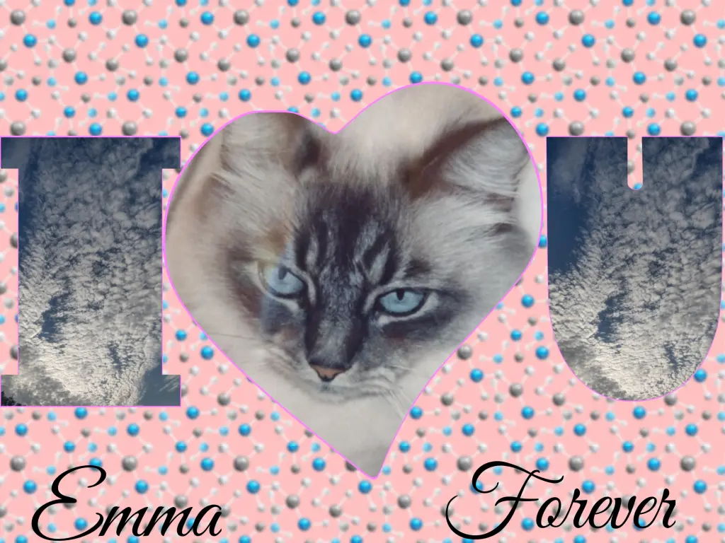 Condolence image of Corinna mit Emma, Pummelchen und anderen Sternlein im ❤️