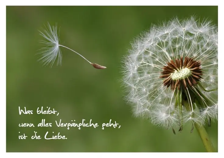 Condolence image of Für Emmchen und Corinna ❤️
