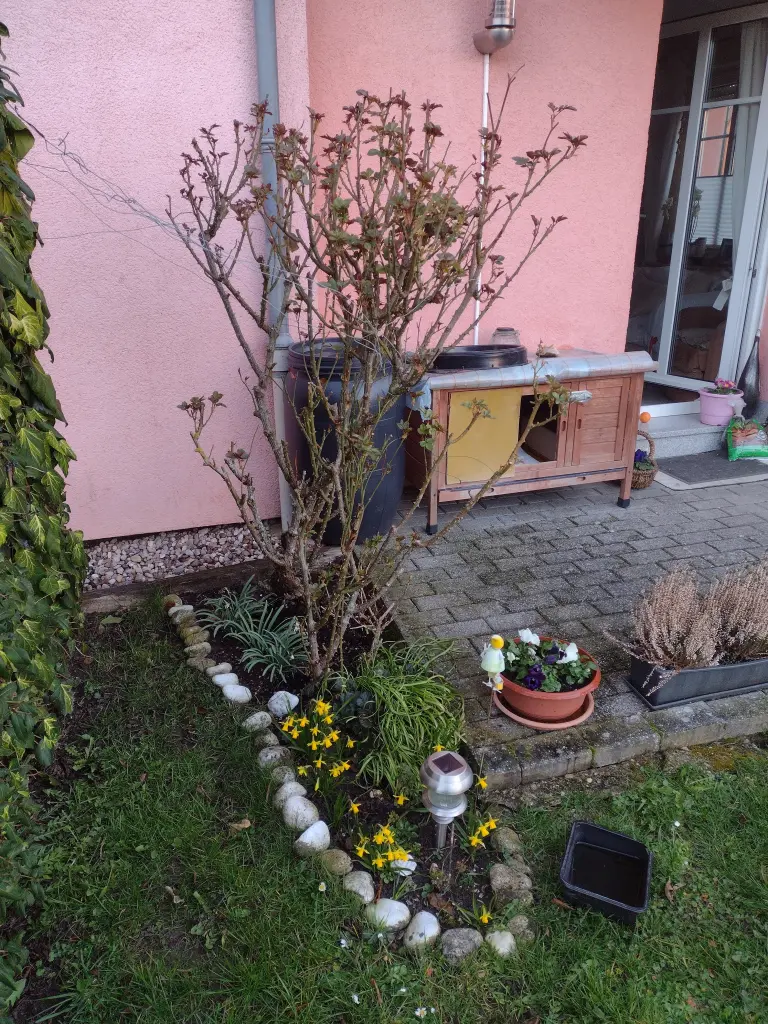 Condolence image of Corinna mit Emma, Pummelchen und anderen Sternlein im Herzen