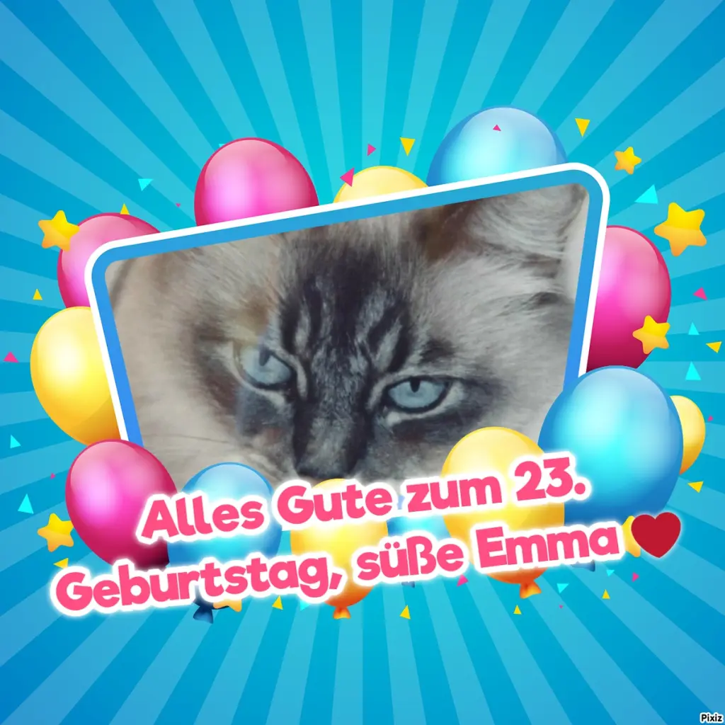 Condolence image of Tanja mit Timmy im Herzen 