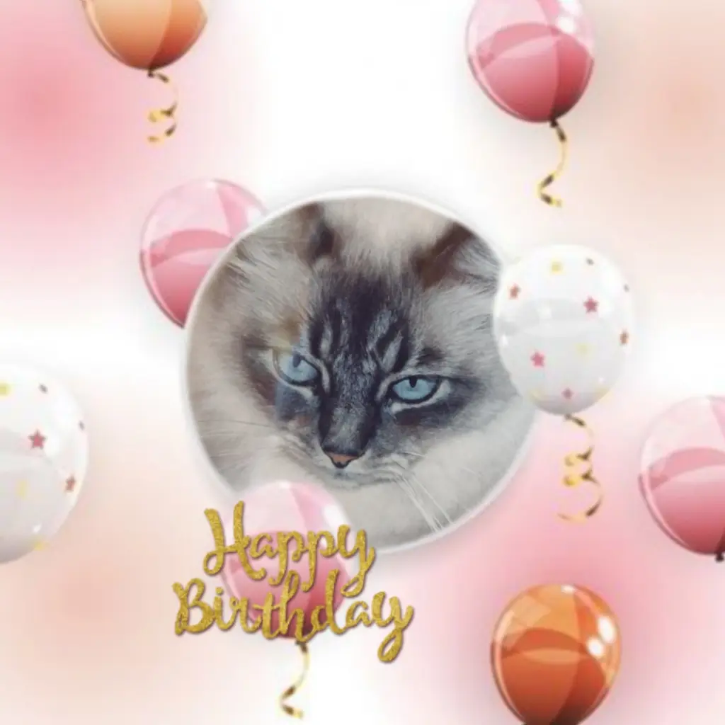 Condolence image of 23 Geburtstag❤❤❤❤❤❤❤❤❤❤❤❤❤❤❤❤❤❤❤❤❤❤❤