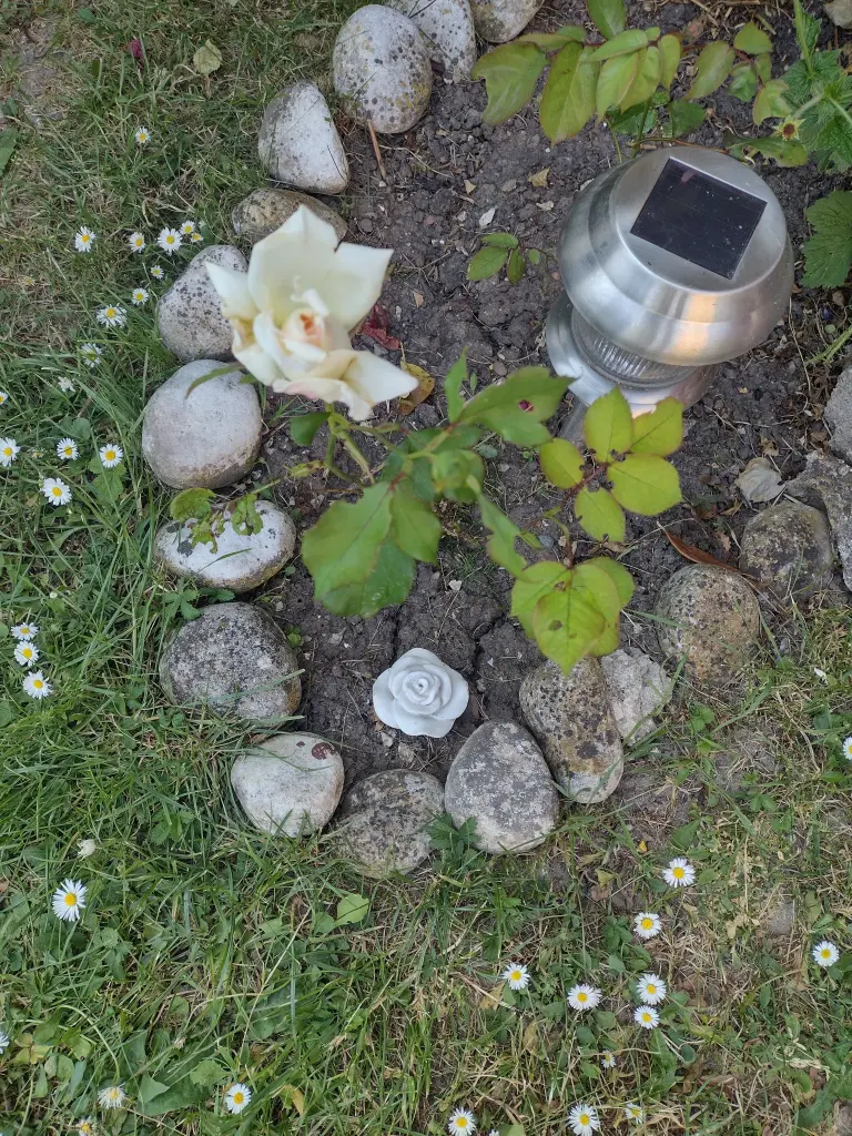 Condolence image of Corinna mit Emma, Pummelchen und anderen Sternlein im ❤️