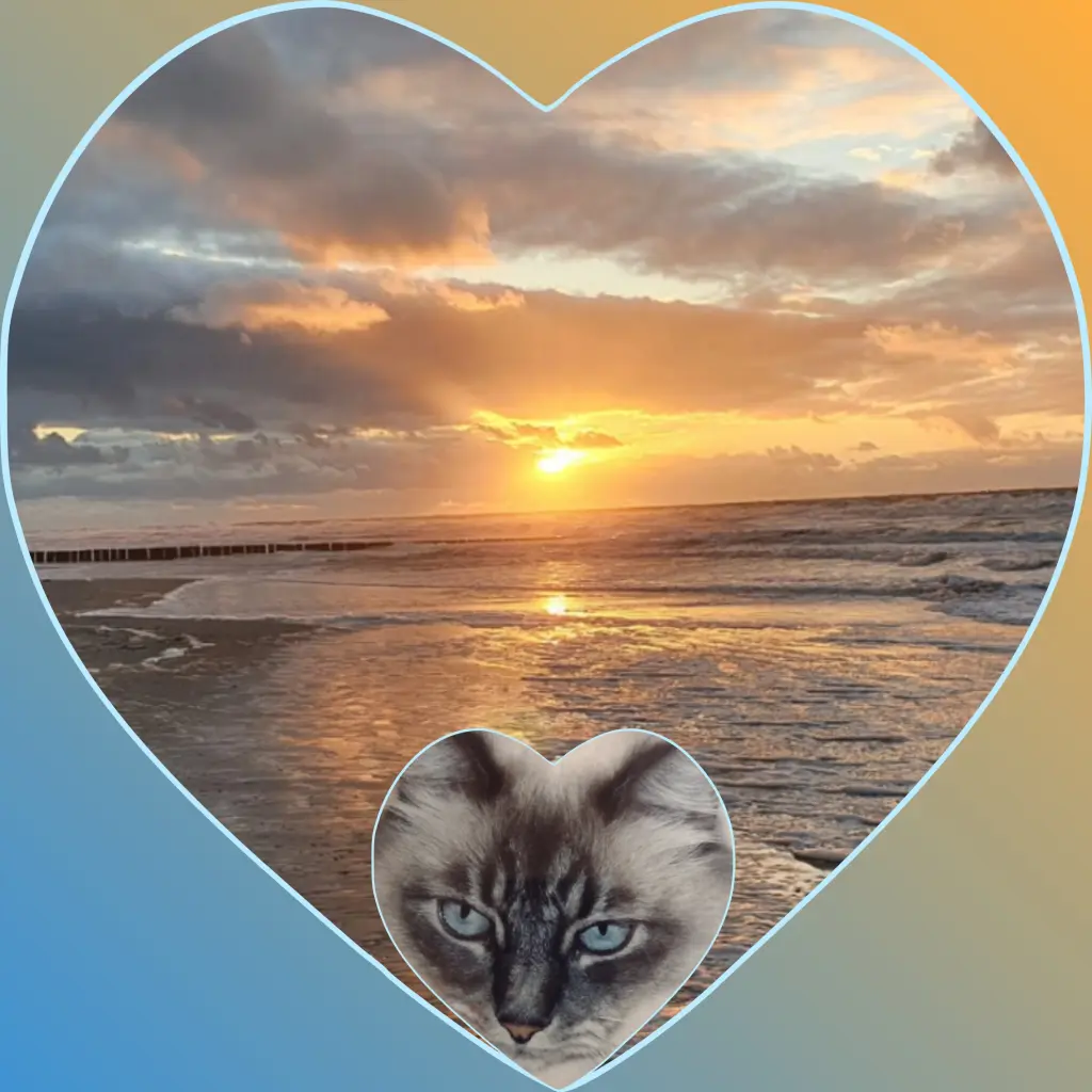 Condolence image of Corinna mit Emma, Pummelchen und anderen Sternlein im ❤️