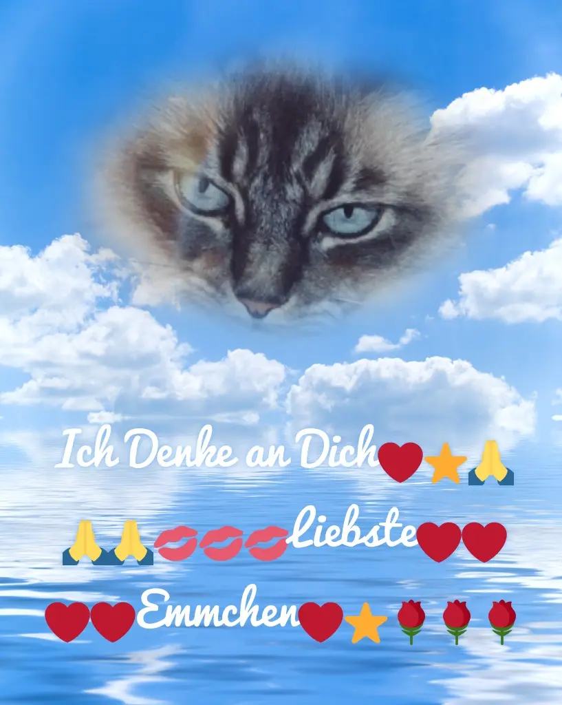Condolence image of 4.Sternchen❤️Gedenktag❤️❤️❤️❤️