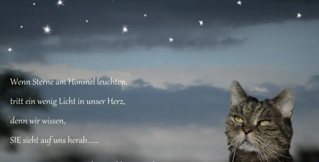 Condolence image of An Emmchen und Corinna 