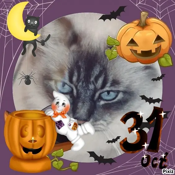 Condolence image of Happy Halloween