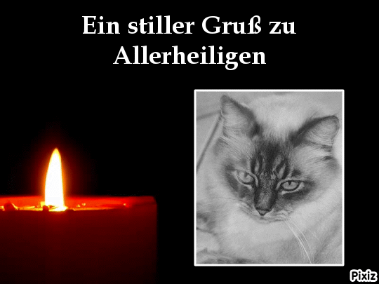 Condolence image of Tanja mit Timmy im Herzen