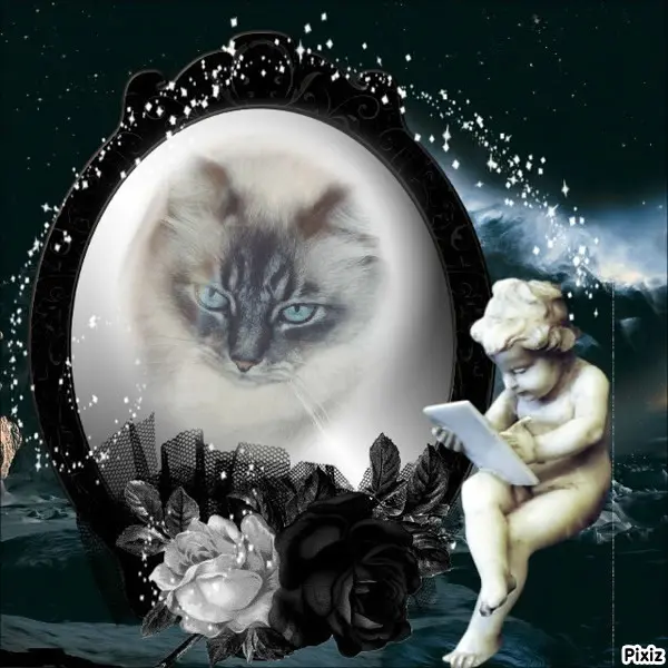 Condolence image of Tanja mit Timmy im Herzen