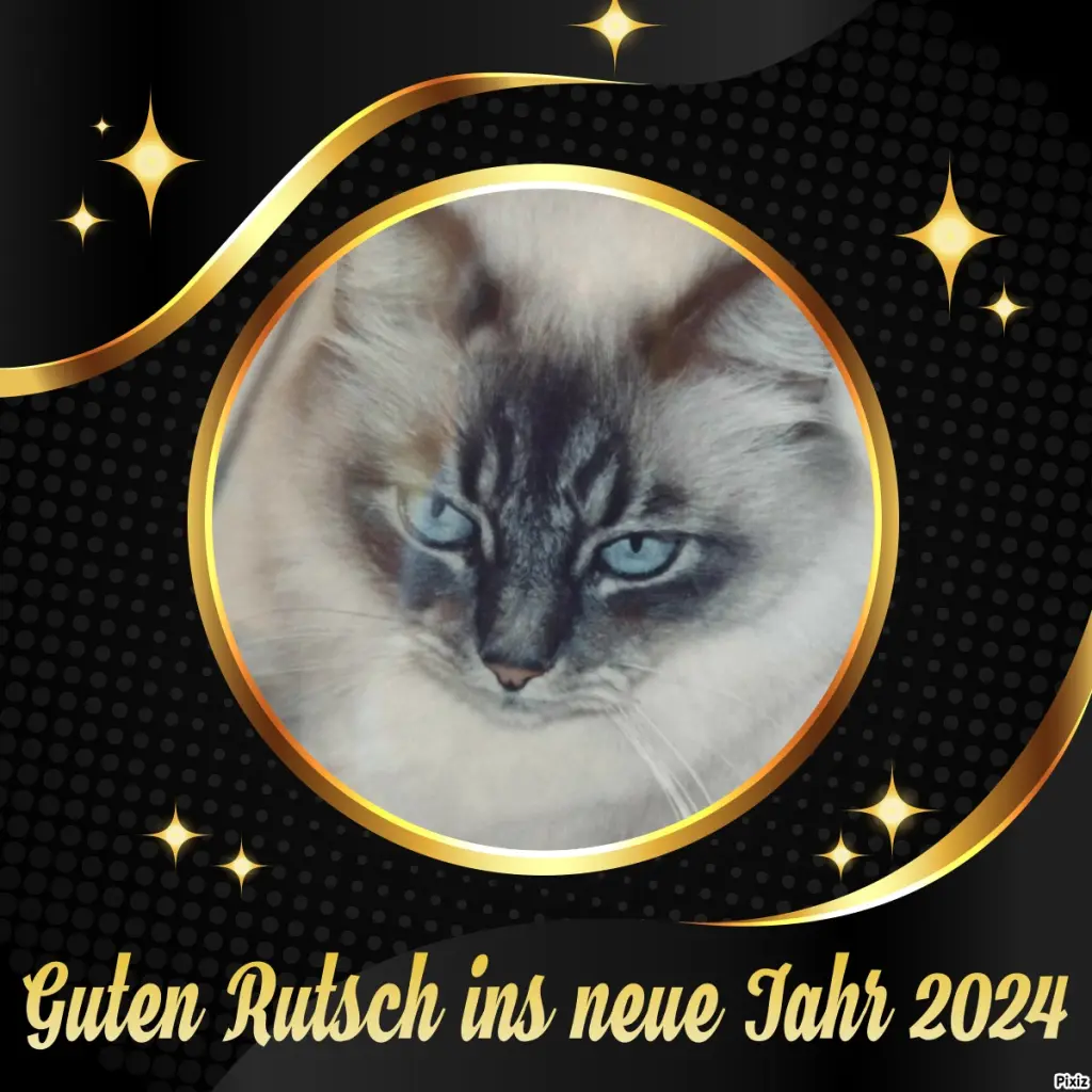 Condolence image of Tanja mit Timmy im Herzen