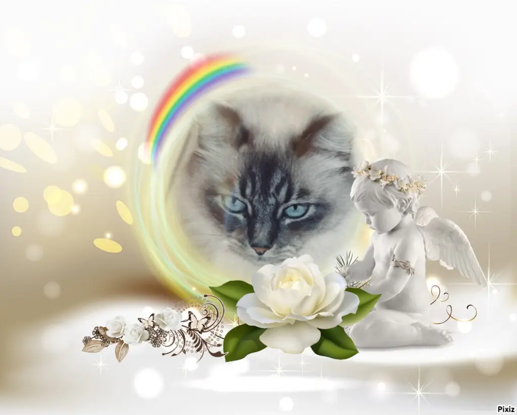 Condolence image of Tanja mit Timmy im Herzen