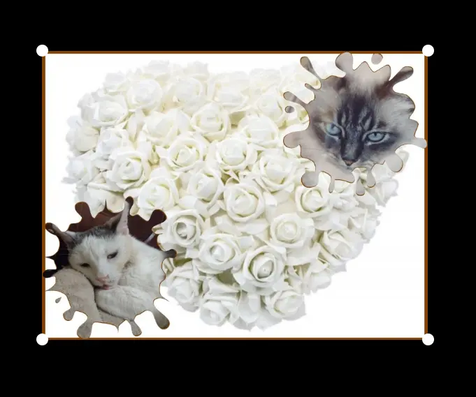 Condolence image of Corinna mit Emma, Jengi, Pummelchen und anderen Sternleine im Herzen
