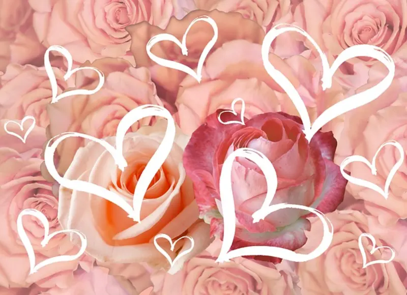 Condolence image of Anja mit Maja & Gräuli im ༺❤️༻