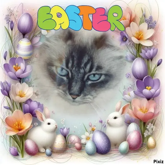 Condolence image of Tanja mit Timmy im Herzen