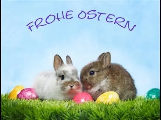 Condolence image of Für Emmchen und Corinna ❤️