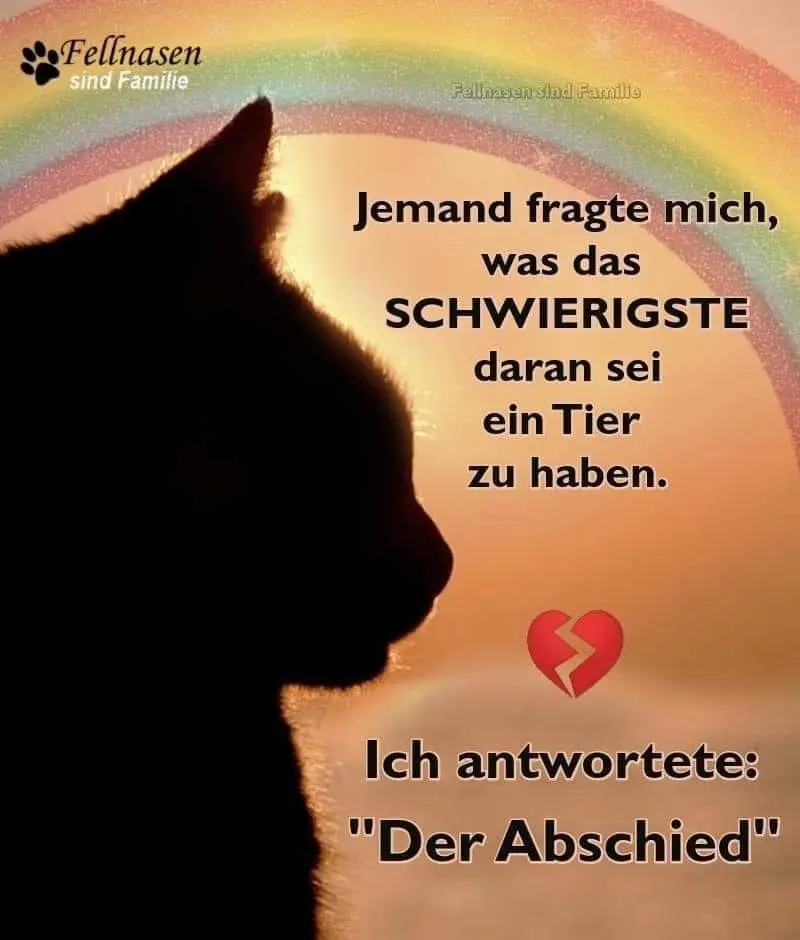 Condolence image of Ingrid mit Vini im Herzen