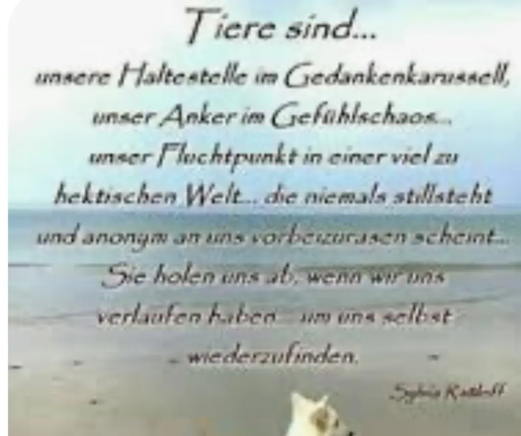 Condolence image of An Emmchen und Corinna