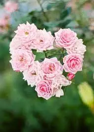 Condolence image of Anja mit Maja & Gräuli im ༺❤️༻