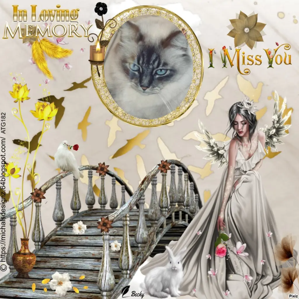 Condolence image of Tanja mit Timmy im Herzen