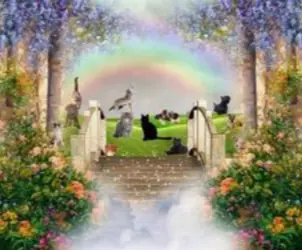 Condolence image of Anja mit Maja & Gräuli im ༺❤️༻
