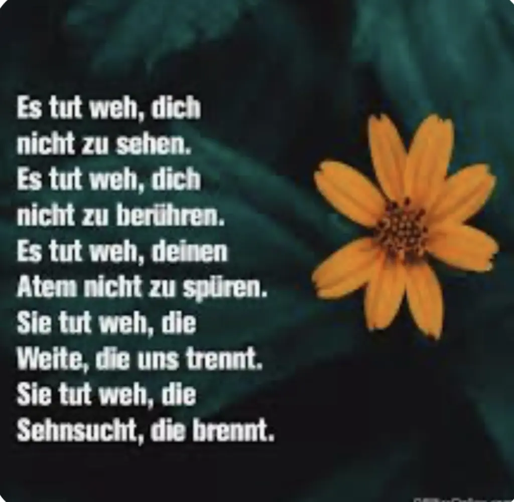 Condolence image of An Emmchen und Corinna