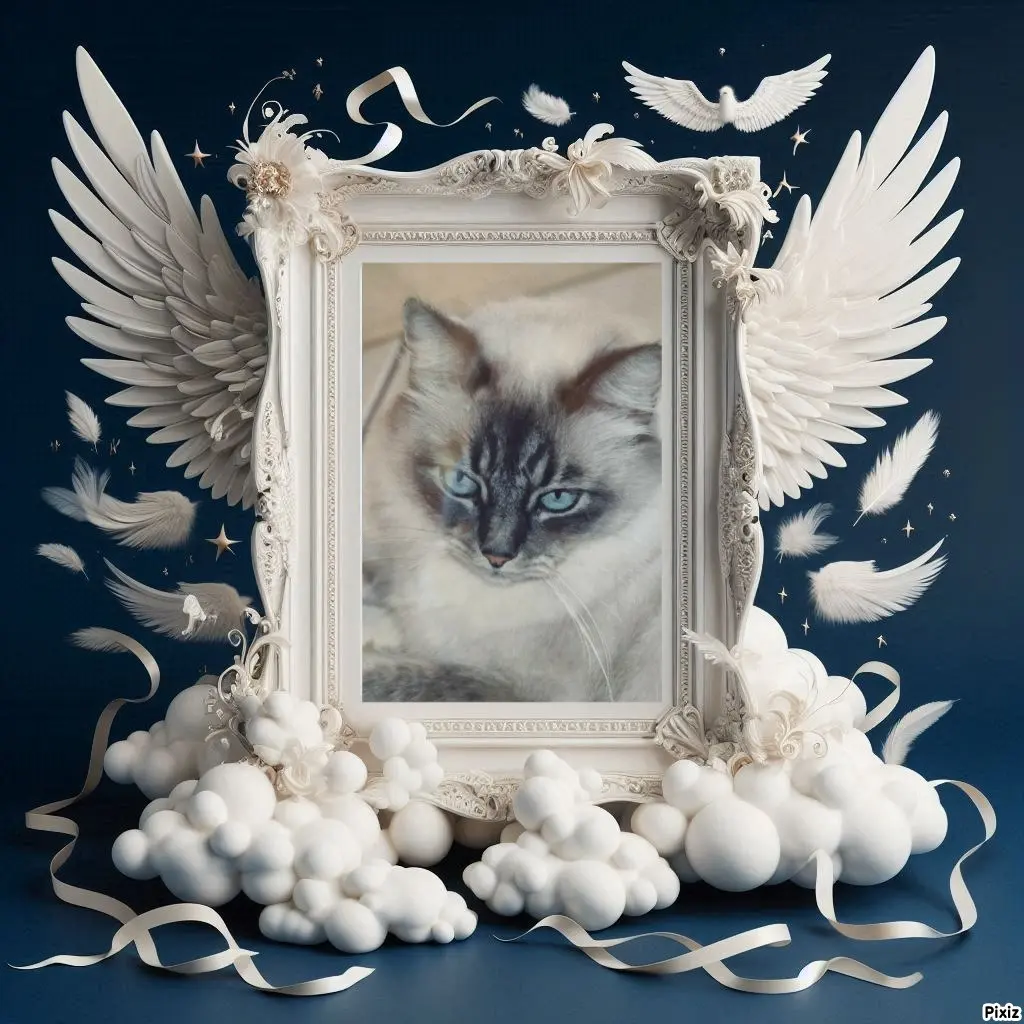 Condolence image of Tanja mit Timmy im Herzen