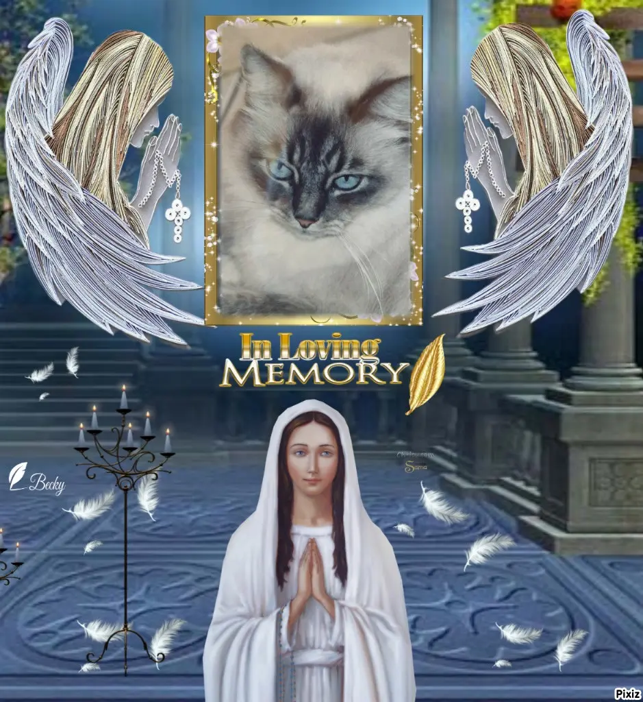 Condolence image of Tanja mit Timmy im Herzen