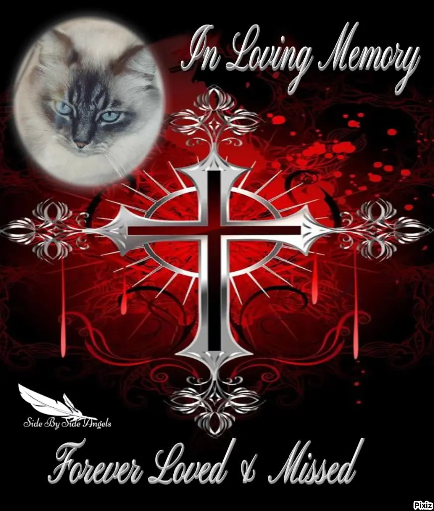 Condolence image of Tanja mit Timmy im Herzen