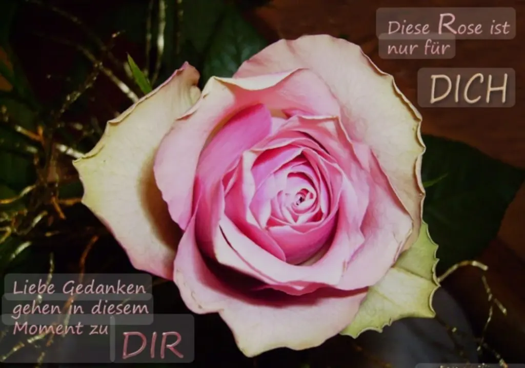 Condolence image of An Emmchen und Corinna