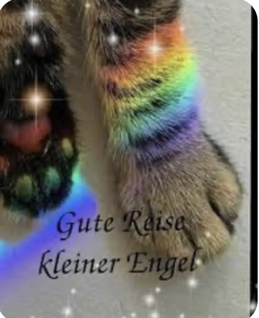 Condolence image of An Emmchen, Linettchen und Corinna