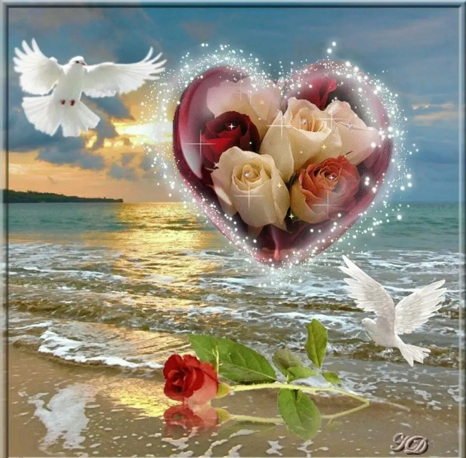 Condolence image of Für Emmchen und Corinna ❤️