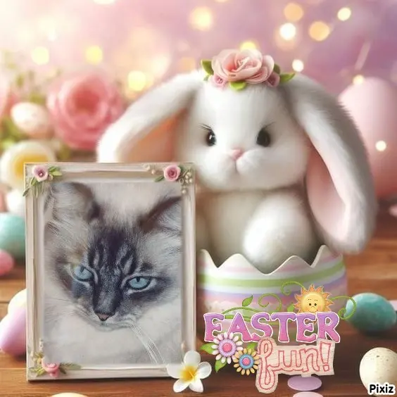 Condolence image of Frohe Ostern