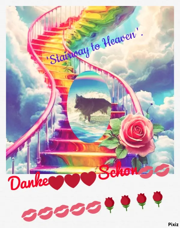 Condolence image of Danke Schon❤️❤️❤️