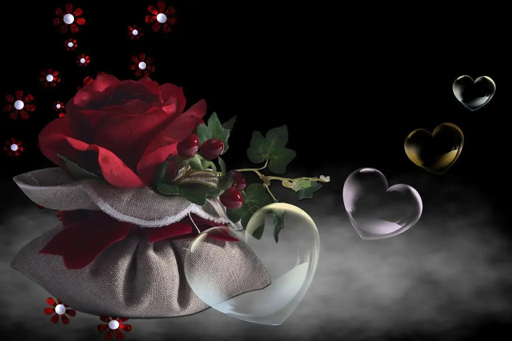 Condolence image of Für Emmchen ❤️ von Dodo
