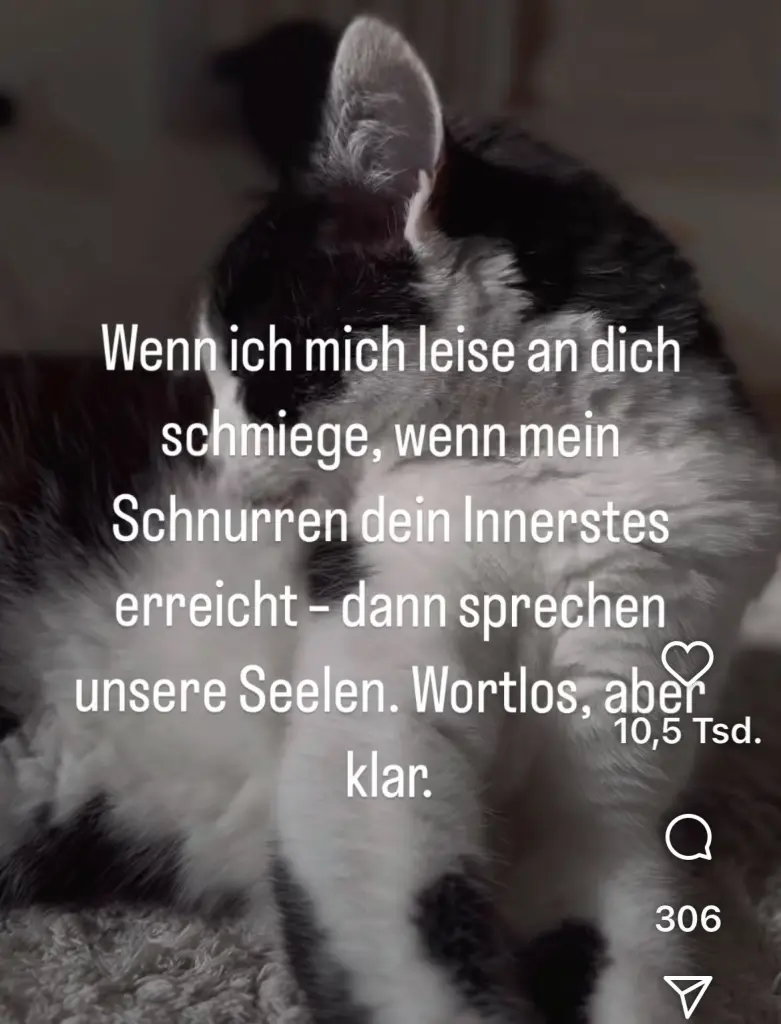 Condolence image of An Emmchen und Corinna