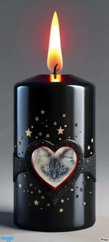 Condolence image of Tanja mit Timmy im Herzen