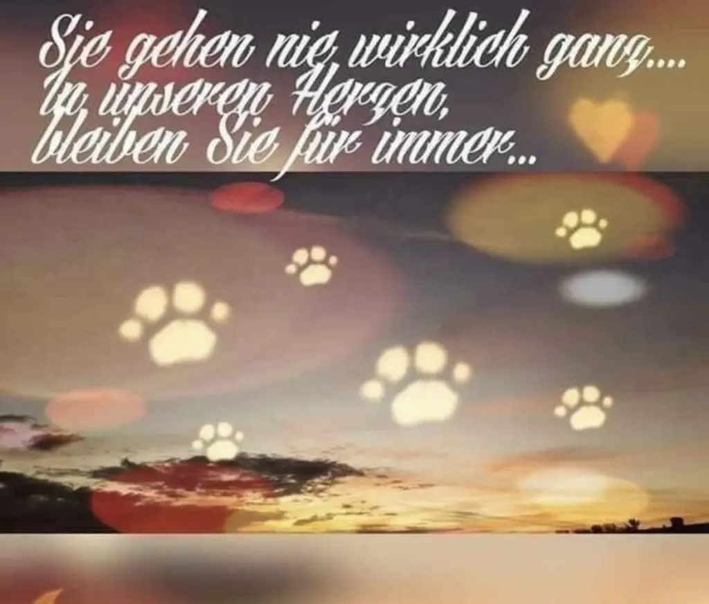 Condolence image of Sonja