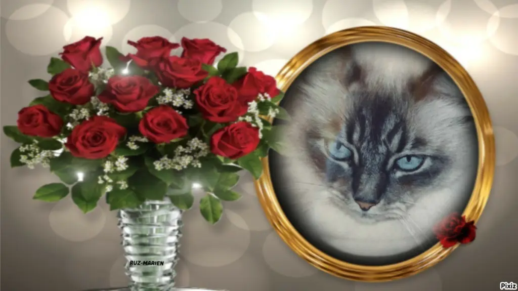 Condolence image of Tanja mit Timmy im ❤