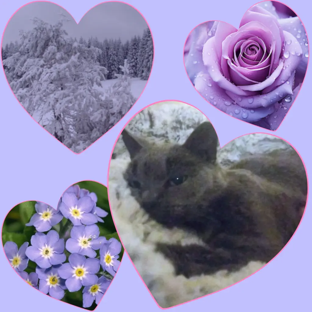 Condolence image of Corinna 💜 für Graui