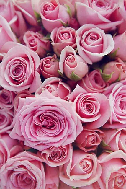Condolence image of Mama Corinna 💜 für Graui 💜