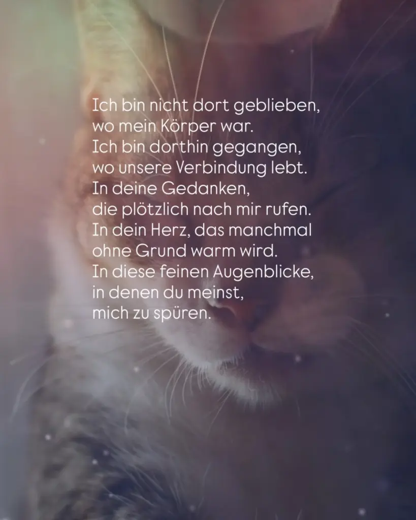 Condolence image of An Emmchen und Corinna